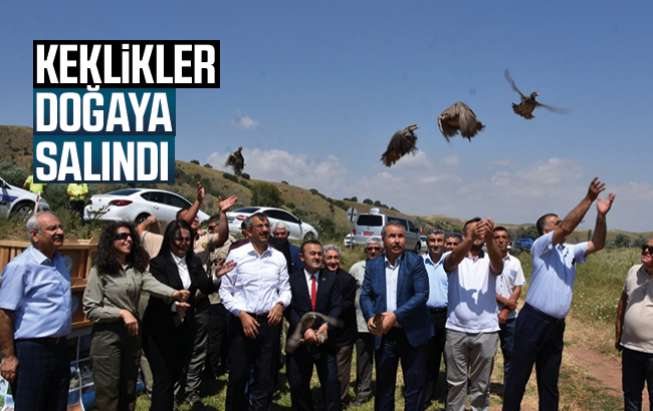 Keklikler Doğaya Salındı - Kırıkkale Haber, Son Dakika Kırıkkale Haberleri