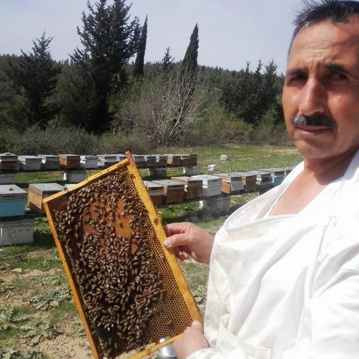 Arılar zehriyle de şifa dağıtıyor - Kırıkkale Haber, Son Dakika Kırıkkale Haberleri