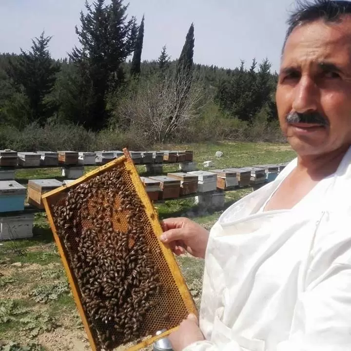 Arılar zehriyle de şifa dağıtıyor - Kırıkkale Haber, Son Dakika Kırıkkale Haberleri Arılar zehriyle de şifa dağıtıyor - Kırıkkale Haber, Son Dakika Kırıkkale Haberleri