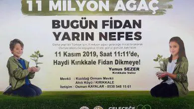 Bugün fidan yarın nefes - Kırıkkale Haber, Son Dakika Kırıkkale Haberleri