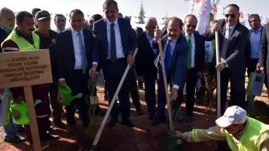 Daha yeşil bir Kırıkkale - Kırıkkale Haber, Son Dakika Kırıkkale Haberleri