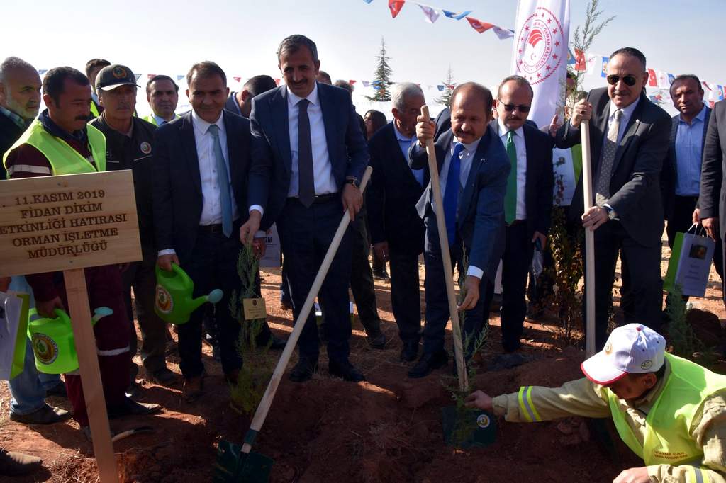 Daha yeşil bir Kırıkkale - Kırıkkale Haber, Son Dakika Kırıkkale Haberleri