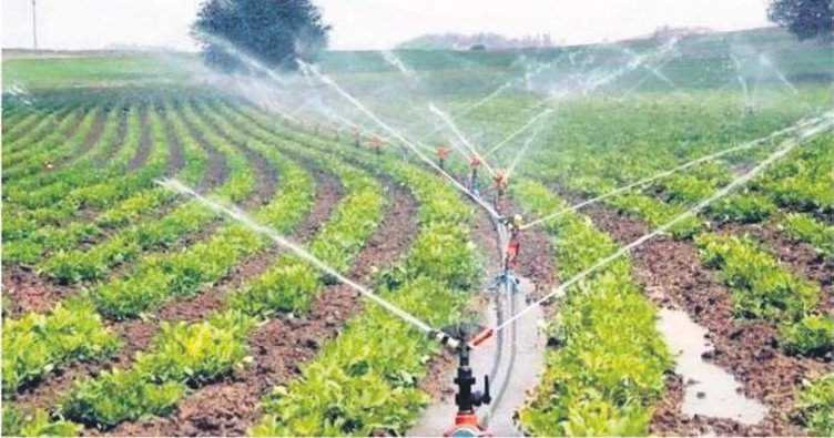 104 bin 260 dekar arazide sulu tarım yapıldı - Kırıkkale Haber, Son Dakika Kırıkkale Haberleri