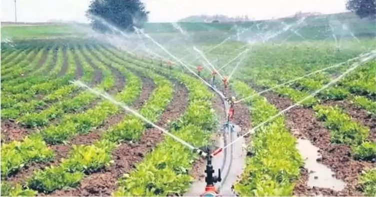 104 bin 260 dekar arazide sulu tarım yapıldı - Kırıkkale Haber, Son Dakika Kırıkkale Haberleri 104 bin 260 dekar arazide sulu tarım yapıldı - Kırıkkale Haber, Son Dakika Kırıkkale Haberleri