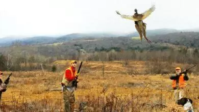 Av Sezonu Kapandı - Kırıkkale Haber, Son Dakika Kırıkkale Haberleri
