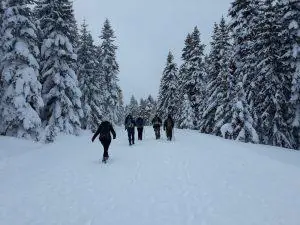 Kale Dağcılık Ilgaz’la Buluştu – Kırıkkale Haber, Son Dakika Kırıkkale Haberleri
Kale Dağcılık Ilgaz’la Buluştu - Kırıkkale Haber, Son Dakika Kırıkkale Haberleri