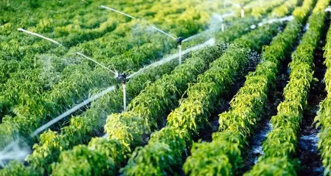 Ülke ekonomisine Kırıkkale’den 35 milyon lira - Kırıkkale Haber, Son Dakika Kırıkkale Haberleri Ülke ekonomisine Kırıkkale’den 35 milyon lira - Kırıkkale Haber, Son Dakika Kırıkkale Haberleri