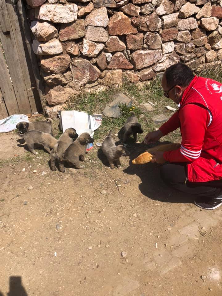 Keskin gençlik merkezinden örnek çalışma - Kırıkkale Haber, Son Dakika Kırıkkale Haberleri