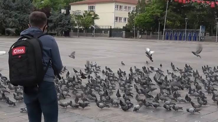 Gazeteciler ve Polisler Güvercinleri Besledi - Kırıkkale Haber, Son Dakika Kırıkkale Haberleri