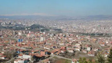Kırıkkale’de virüs taraması yapılacak - Kırıkkale Haber, Son Dakika Kırıkkale Haberleri Kırıkkale’de virüs taraması yapılacak - Kırıkkale Haber, Son Dakika Kırıkkale Haberleri