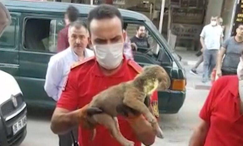 İtfaiye kurtardı - Kırıkkale Haber, Son Dakika Kırıkkale Haberleri İtfaiye kurtardı - Kırıkkale Haber, Son Dakika Kırıkkale Haberleri