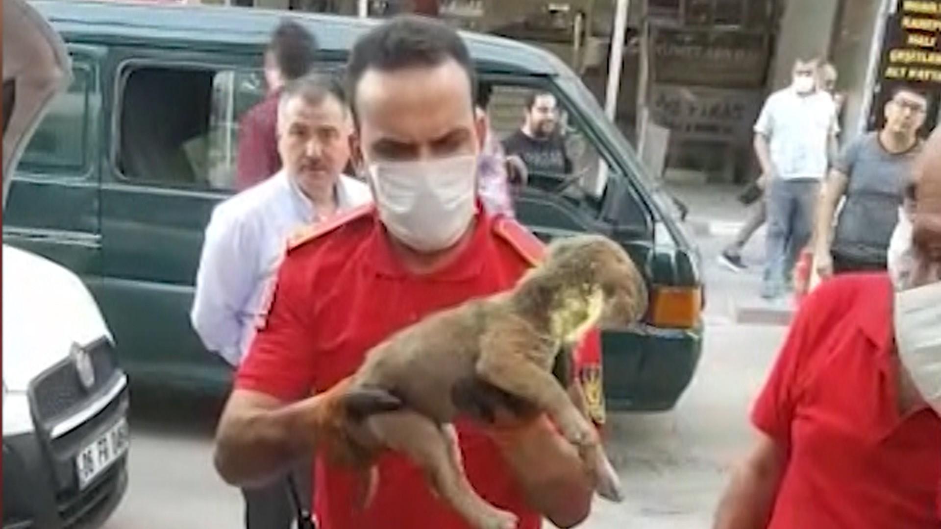 İtfaiye kurtardı - Kırıkkale Haber, Son Dakika Kırıkkale Haberleri