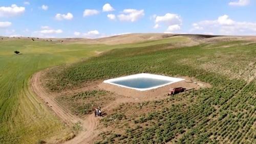 Tarlada yüzme keyfi - Kırıkkale Haber, Son Dakika Kırıkkale Haberleri