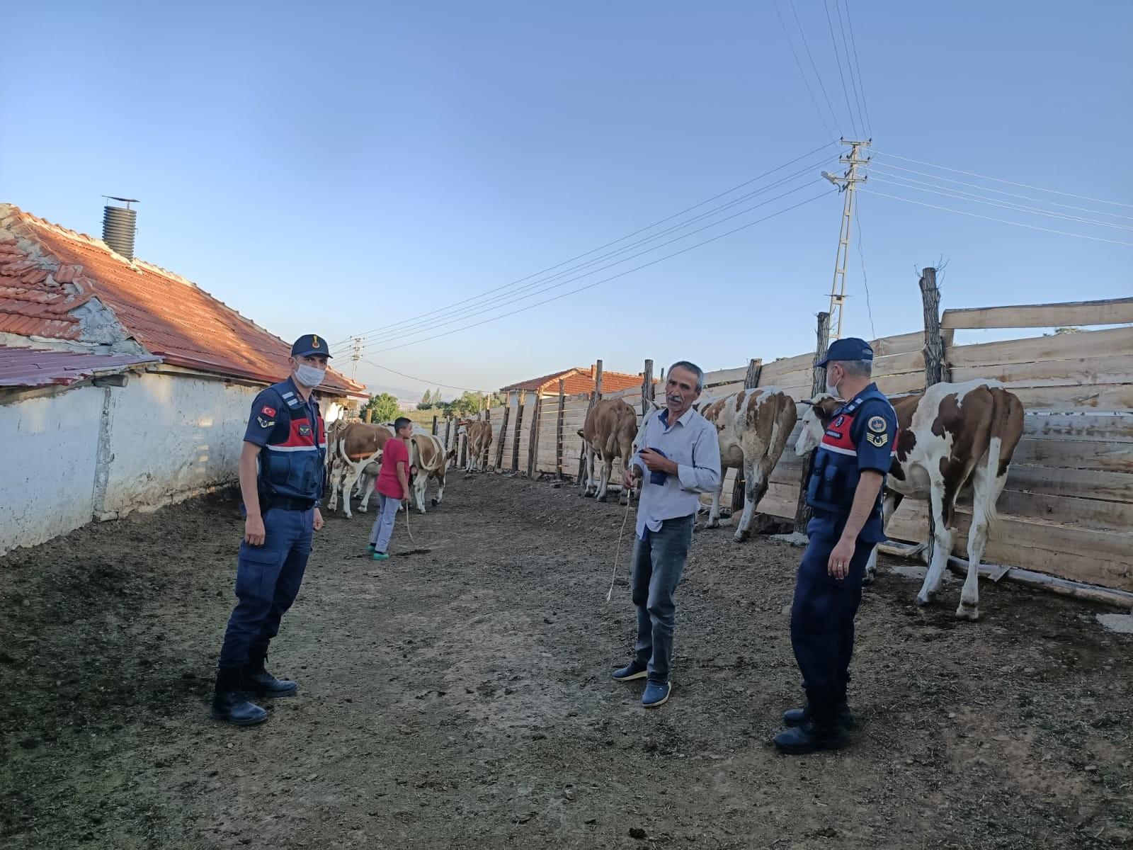 Arazide kaybettiği kurbanlık hayvanlarını jandarma buldu - Kırıkkale Haber, Son Dakika Kırıkkale Haberleri Arazide kaybettiği kurbanlık hayvanlarını jandarma buldu - Kırıkkale Haber, Son Dakika Kırıkkale Haberleri