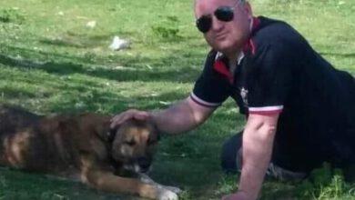Karşıdan Karşıya Geçerken Yaşamını Yitirdi - Kırıkkale Haber, Son Dakika Kırıkkale Haberleri