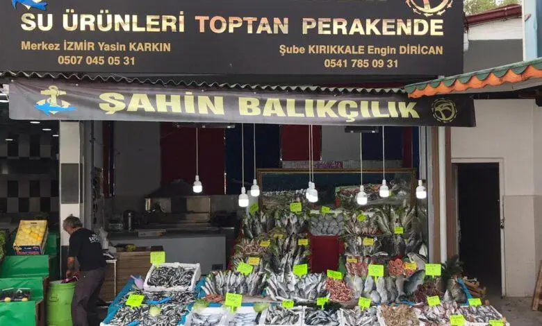 Taze Balık Ve Bol Çeşit Şahin Balıkçılıkta - Kırıkkale Haber, Son Dakika Kırıkkale Haberleri