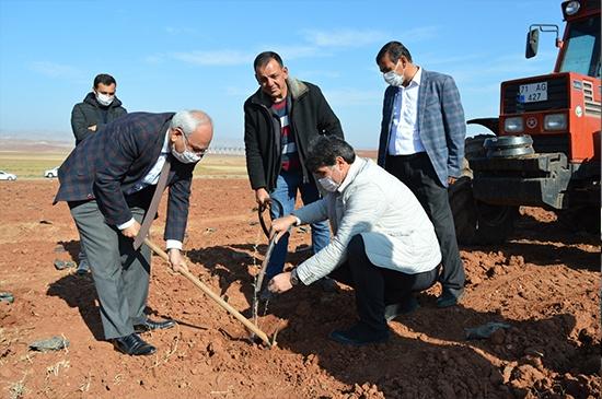 Kırıkkale Tarım ve Orman Müdürlüğü’nden ‘Küçükbaş Hayvancılık’ projesi - Kırıkkale Haber, Son Dakika Kırıkkale Haberleri