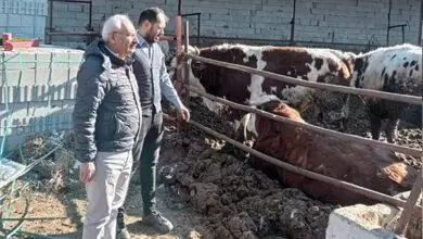 Yılmaz İşletme Ziyaretlerinde Bulundu - Kırıkkale Haber, Son Dakika Kırıkkale Haberleri