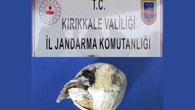 Yolcu Otobüsünde 880 Gram Esrar Ele Geçirildi - Kırıkkale Haber, Son Dakika Kırıkkale Haberleri