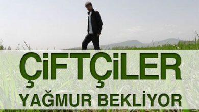 Çiftçi Yağmur Bekliyor - Kırıkkale Haber, Son Dakika Kırıkkale Haberleri