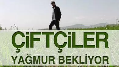 Çiftçi Yağmur Bekliyor - Kırıkkale Haber, Son Dakika Kırıkkale Haberleri Çiftçi Yağmur Bekliyor - Kırıkkale Haber, Son Dakika Kırıkkale Haberleri
