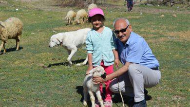 Hayvancılığa %50 Hibe İle Büyük Destek - Kırıkkale Haber, Son Dakika Kırıkkale Haberleri