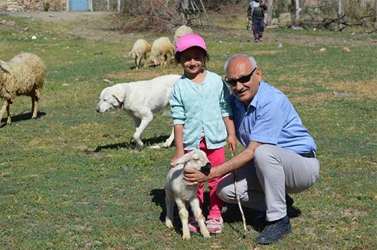 Hayvancılığa %50 Hibe İle Büyük Destek - Kırıkkale Haber, Son Dakika Kırıkkale Haberleri