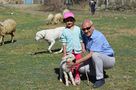 Hayvancılığa %50 Hibe İle Büyük Destek - Kırıkkale Haber, Son Dakika Kırıkkale Haberleri