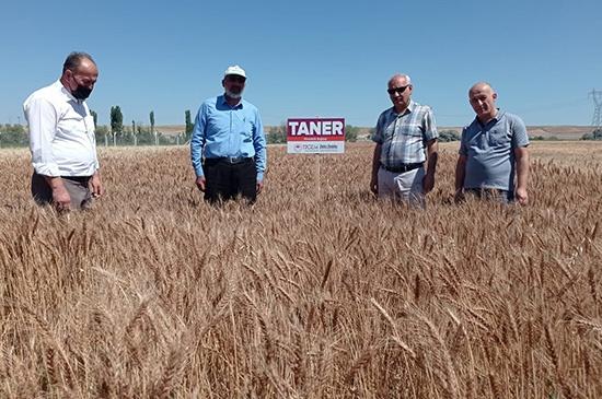 Yerli ve Milli Tohumların Ulaşmadığı Çiftçi Kalmayacak - Kırıkkale Haber, Son Dakika Kırıkkale Haberleri