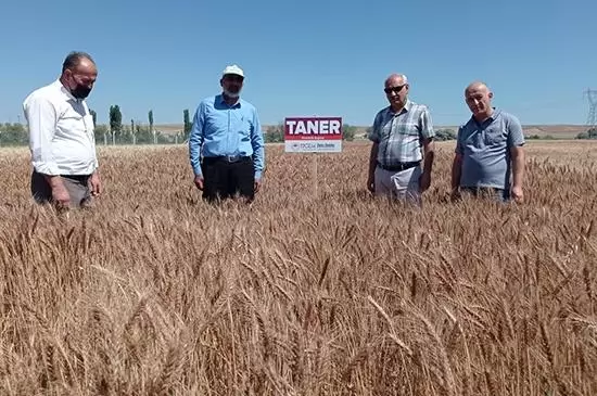 Yerli ve Milli Tohumların Ulaşmadığı Çiftçi Kalmayacak - Kırıkkale Haber, Son Dakika Kırıkkale Haberleri Yerli ve Milli Tohumların Ulaşmadığı Çiftçi Kalmayacak - Kırıkkale Haber, Son Dakika Kırıkkale Haberleri