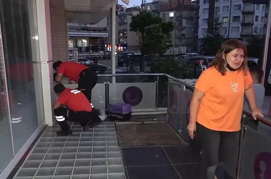 Balkondan Düşen Kedisi İçin Dakikalarca Göz Yaşı Döktü - Kırıkkale Haber, Son Dakika Kırıkkale Haberleri Balkondan Düşen Kedisi İçin Dakikalarca Göz Yaşı Döktü - Kırıkkale Haber, Son Dakika Kırıkkale Haberleri
