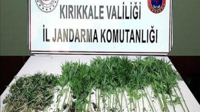 Böyle Akraba Olmaz Olsun - Kırıkkale Haber, Son Dakika Kırıkkale Haberleri
