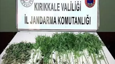 Böyle Akraba Olmaz Olsun - Kırıkkale Haber, Son Dakika Kırıkkale Haberleri