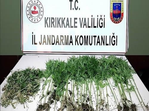 Böyle Akraba Olmaz Olsun - Kırıkkale Haber, Son Dakika Kırıkkale Haberleri