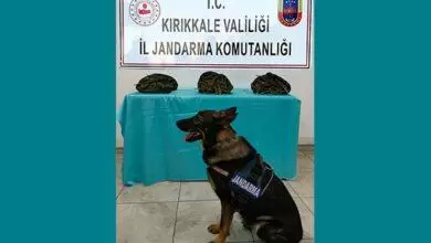 Jandarmadan Uyuşturucuya Geçit Yok - Kırıkkale Haber, Son Dakika Kırıkkale Haberleri