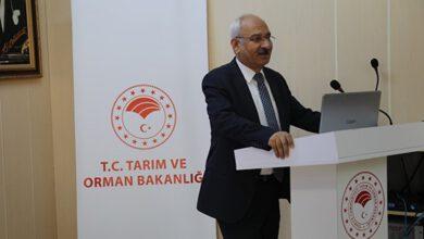 Kırıkkale’de Organik Arıcılık İçin Kolları Sıvadık - Kırıkkale Haber, Son Dakika Kırıkkale Haberleri