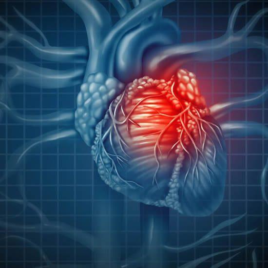 Kardiyoloji kalp sağlığımızla ilgilenir - Kırıkkale Haber, Son Dakika Kırıkkale Haberleri