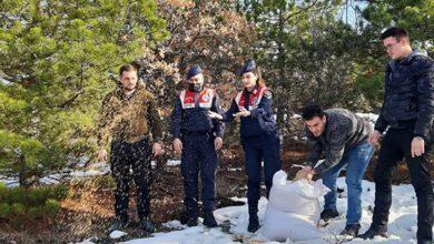 Kuşlar İçin Doğaya Buğday Bırakıldı - Kırıkkale Haber, Son Dakika Kırıkkale Haberleri