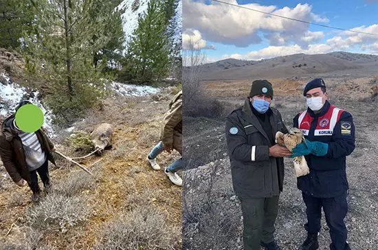 Kaçak Avcılara Suç Üstü - Kırıkkale Haber, Son Dakika Kırıkkale Haberleri Kaçak Avcılara Suç Üstü - Kırıkkale Haber, Son Dakika Kırıkkale Haberleri
