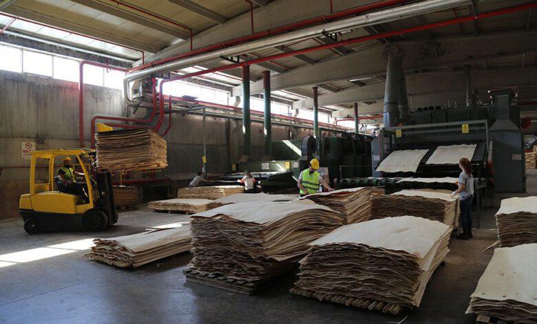Sağlamlar Plywood ve Kontrplak Firması - Kırıkkale Haber, Son Dakika Kırıkkale Haberleri Sağlamlar Plywood ve Kontrplak Firması - Kırıkkale Haber, Son Dakika Kırıkkale Haberleri