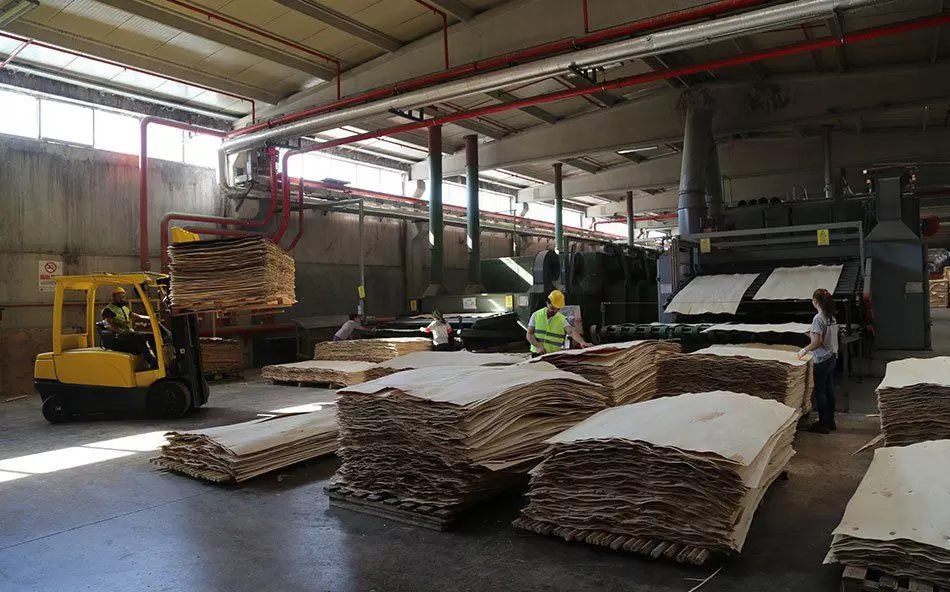 Sağlamlar Plywood ve Kontrplak Firması - Kırıkkale Haber, Son Dakika Kırıkkale Haberleri Sağlamlar Plywood ve Kontrplak Firması - Kırıkkale Haber, Son Dakika Kırıkkale Haberleri