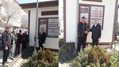 Muhtar Adayından Sarı’dan Çam Ağacı - Kırıkkale Haber, Son Dakika Kırıkkale Haberleri