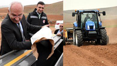 Kuraklıktan Etkilenen Çiftçiler Çörek Otuna Yöneldi - Kırıkkale Haber, Son Dakika Kırıkkale Haberleri
