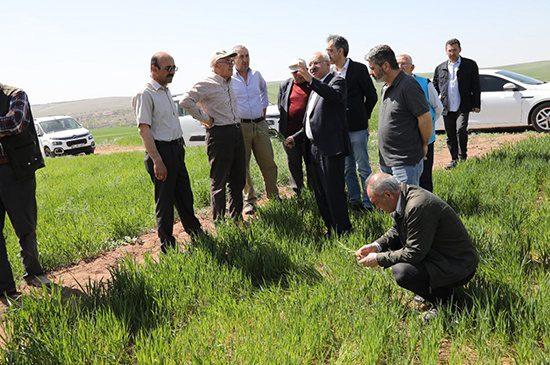 Stratejik Öneme Sahiptir - Kırıkkale Haber, Son Dakika Kırıkkale Haberleri