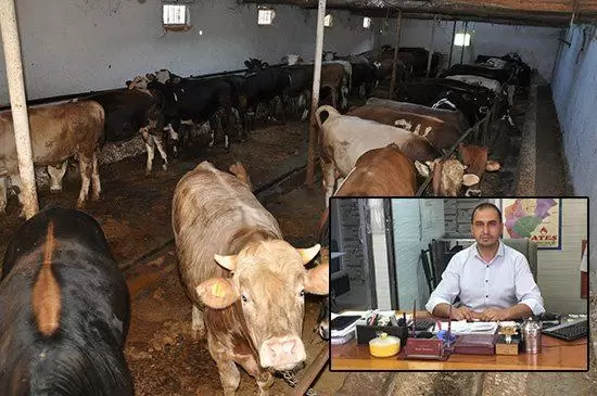 Bostancı ”Besicilik Zor Ayakta Duruyor” - Kırıkkale Haber, Son Dakika Kırıkkale Haberleri Bostancı ”Besicilik Zor Ayakta Duruyor” - Kırıkkale Haber, Son Dakika Kırıkkale Haberleri