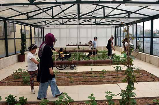 Engelsiz yeşeren umutlar serası - Kırıkkale Haber, Son Dakika Kırıkkale Haberleri