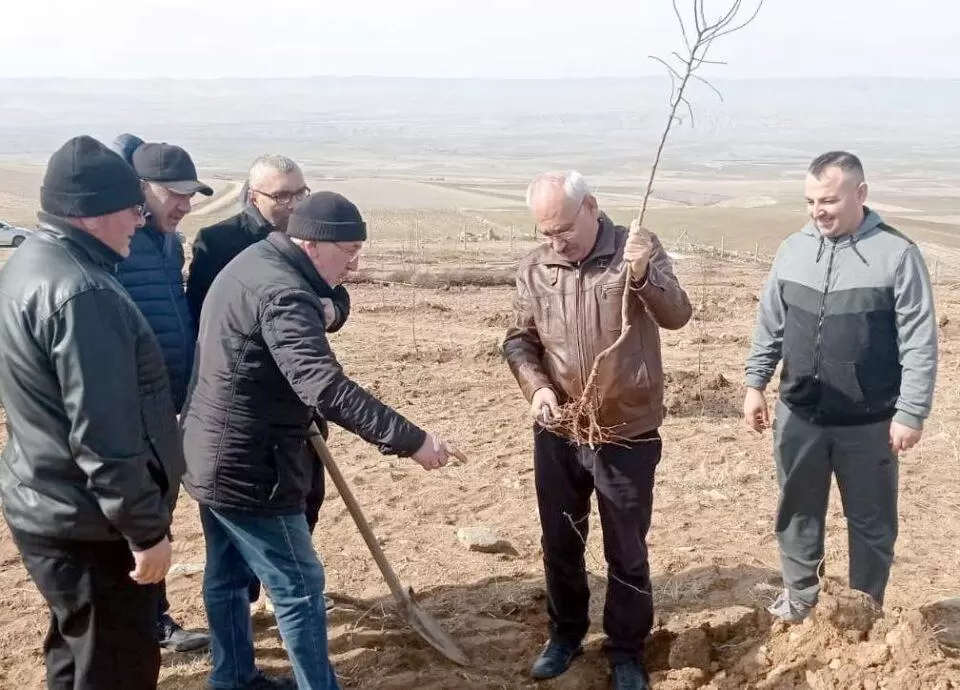 Çelebi’de Badem Bahçesi Kuruldu - Kırıkkale Haber, Son Dakika Kırıkkale Haberleri