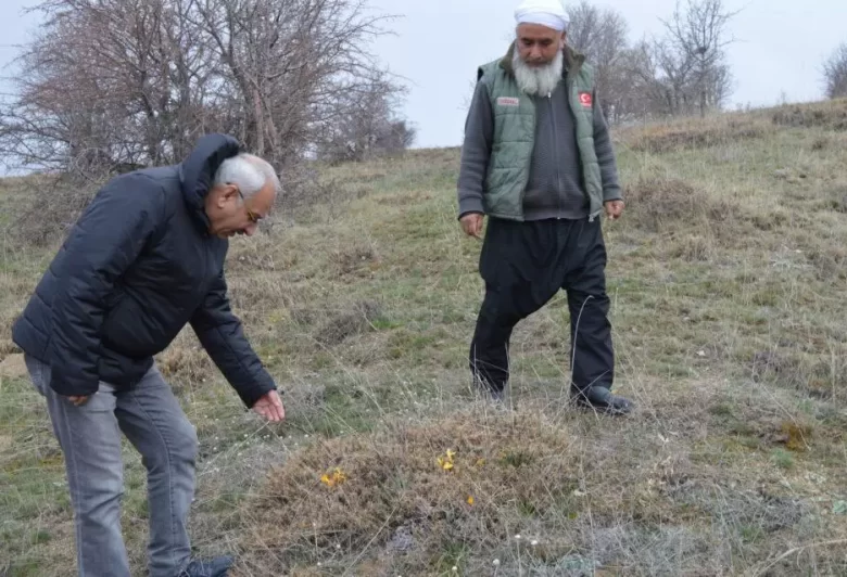 Dinek Dağın’da Organik Arıcılık - Kırıkkale Haber, Son Dakika Kırıkkale Haberleri