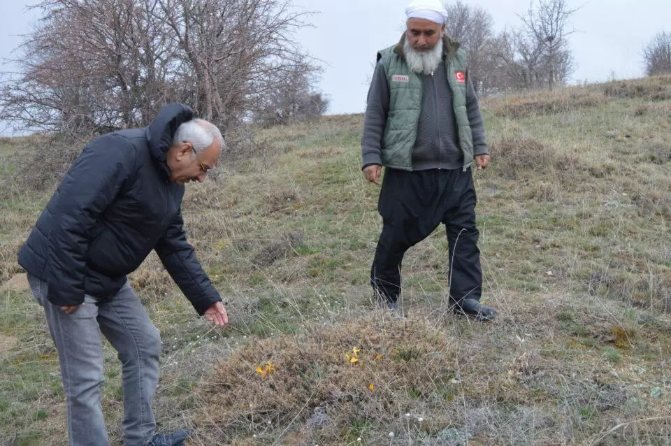 Dinek Dağın’da Organik Arıcılık - Kırıkkale Haber, Son Dakika Kırıkkale Haberleri