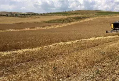 Kuraklığa Dayanıklı Çeşitlerin Ekimi Yaygınlaştırılıyor - Kırıkkale Haber, Son Dakika Kırıkkale Haberleri
